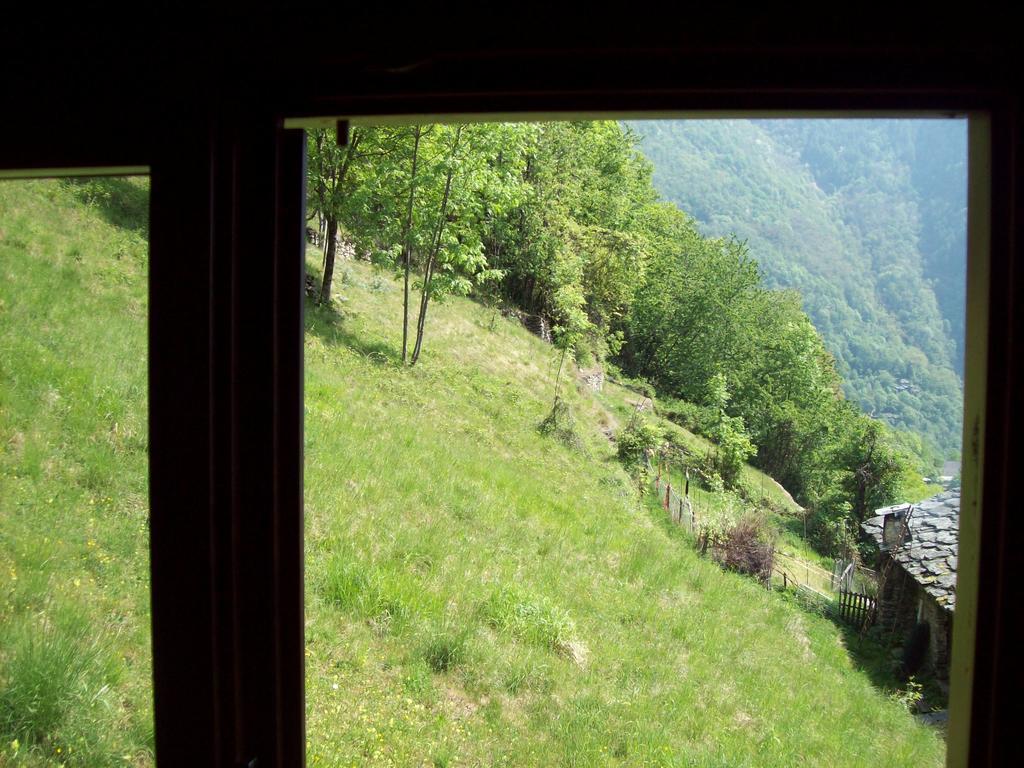 سوندريو Appartamentino Nel Bosco المظهر الخارجي الصورة